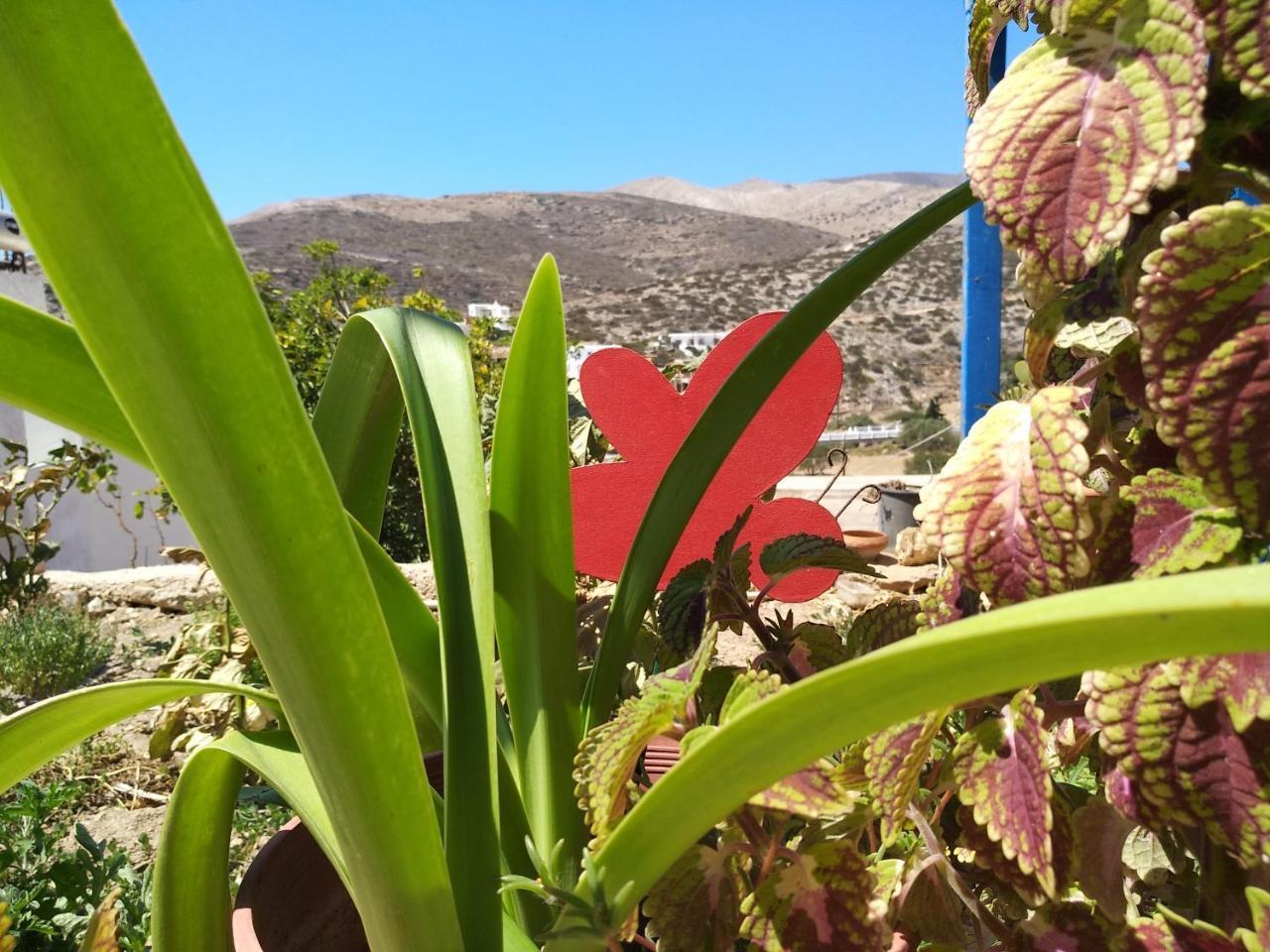 Pirgari Rooms Sikinos Alopronia Dış mekan fotoğraf